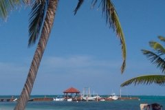 belize-betex-may-2017-056_orig